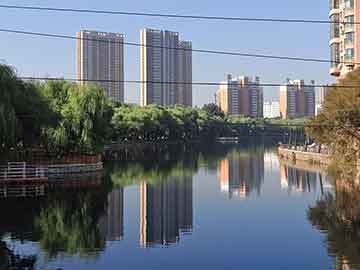 外汇学习入门-外汇入门基础知识的书